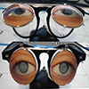 WeyesEyes Droopy SteamPunk WeyesUps